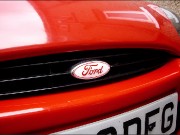 PumaBadge04