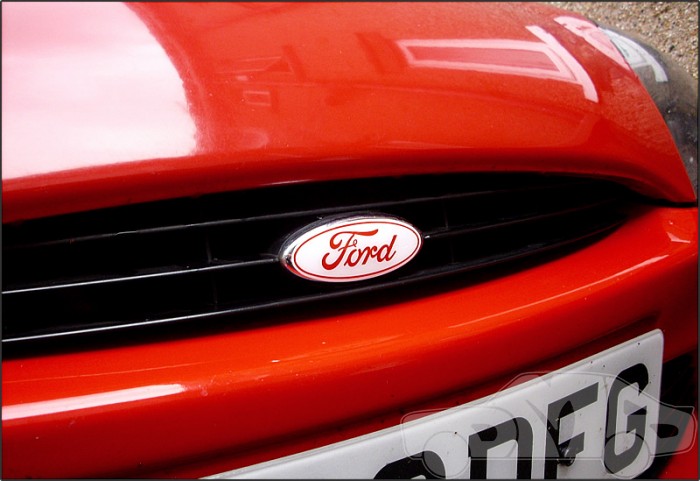 PumaBadge04